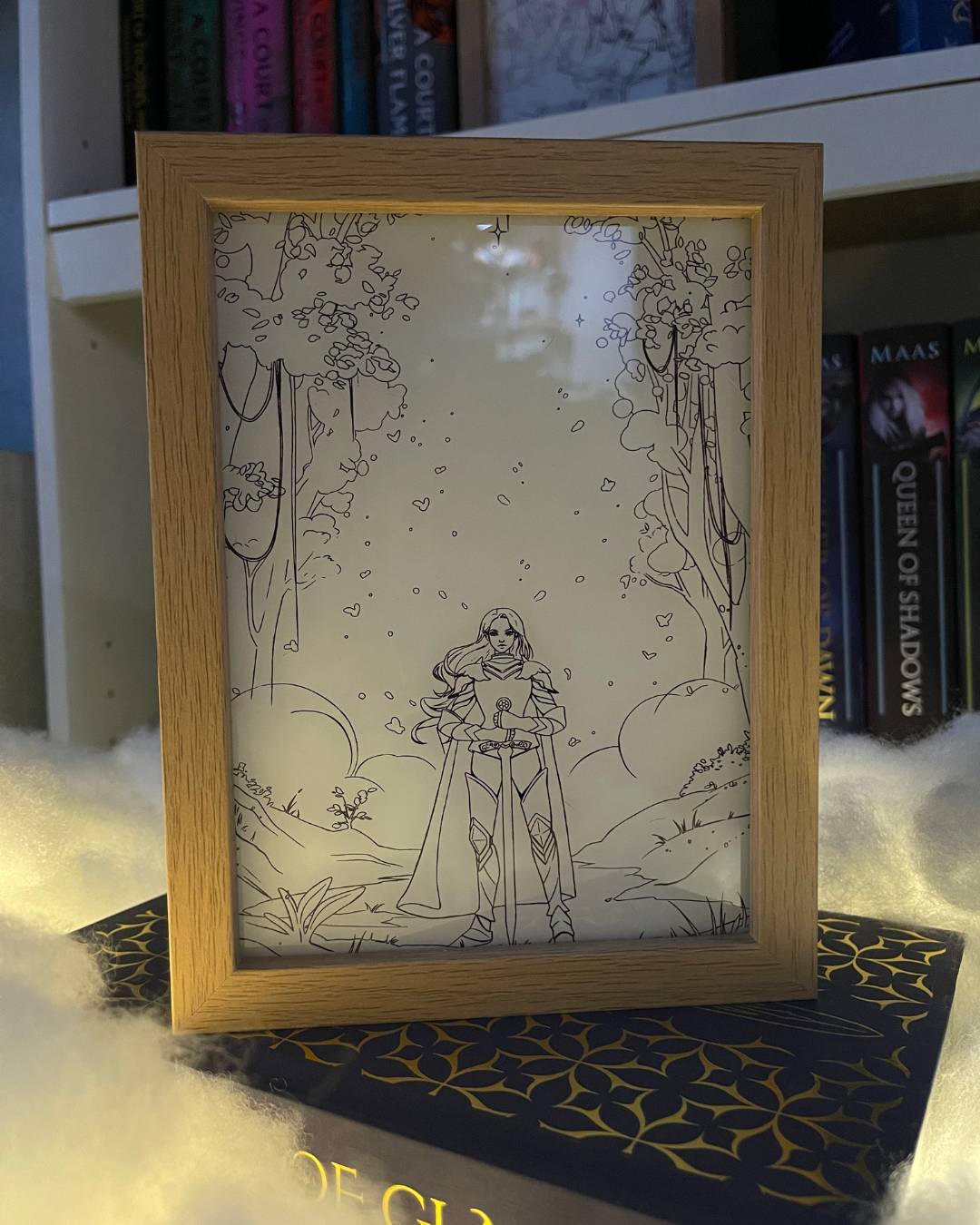 Dreambox | Aelin Fireheart | Officially Licensed